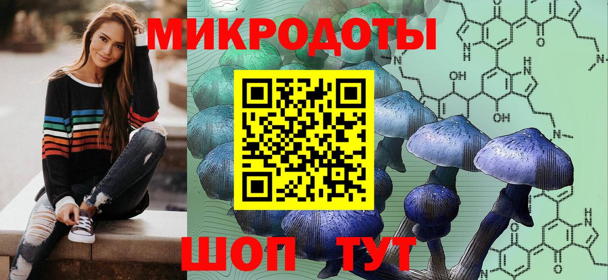 Галлюциногенные грибы Psilocybine cubensis Подольск