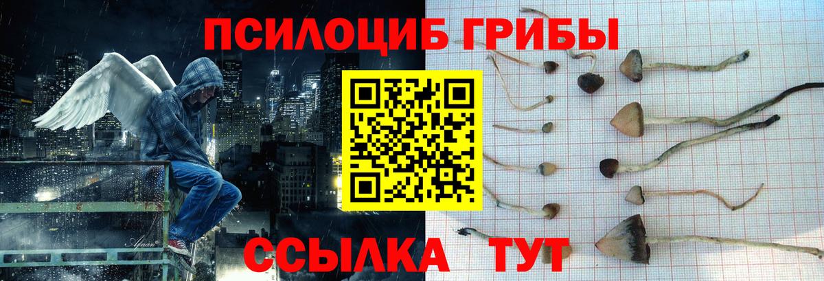 Подольск  Галлюциногенные грибы мицелий  Галлюциногенные грибы мухоморы  купить наркотик  Вход с VPN 